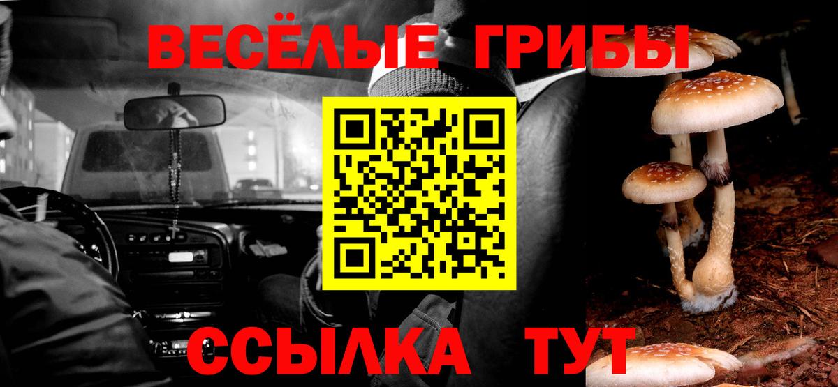 Галлюциногенные грибы мицелий Алексеевка